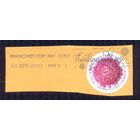 США флора цветок / вырезка/