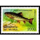 Марки "Форель ручьевая. 2000", "Рыбец. 3000", "Усач. 4500", "Хариус обыкновенный. 4500", "Блок N12. Стерлядь. 5000"