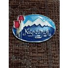 Значок. Киргизия.