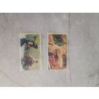 Наклейки kickboxer