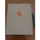 Иллюстрированная история СССР. XV-XVII ВВ.