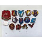 Значки  Х.К. Беларусь  -цена за 1 знак