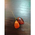 Винтажная маленькая брошка ну иголочке из двух янтаринок