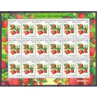 Беларусь 2004 седьмой стандарт ягоды флора малина