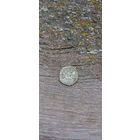 Двуденарий 1570