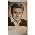 Киноактер Андрей Миронов