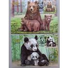 Картмаксимум "Фауна Беларуси и Китая". Медведи. Беларусь, 2024, глянец