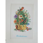 Шабанов поздравляю 1991 9х14  см