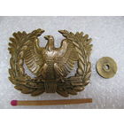 Кокарда. Warrant Officer US Army. Уорент офицер армии США. тяжёлая