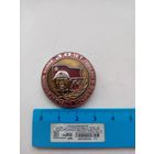 ЗНАЧОК 30-ЛЕТ ПОБЕДЫ ВОВ