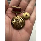 Значок. МВД СССР Отличный Пропагандист