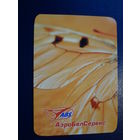 Календарик 2009 г.  АэроБелСервис.  Крыло.