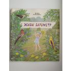 ФАМА РАМАШКА. ЖЫВЫ БАРОМЕТР