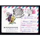Художественный маркированный конверт СССР прошедший почтк N 13179 (28.11.1978) АВИА  Виола
