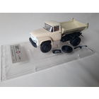 ЗИЛ-130 (Обмен!) самосвал ММЗ-555 Астрахань ДСТ #1-1966г. DiP Models 1:43 арт.155501