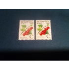 Беларусь 2004  стандарт мел простая