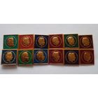 Значки.Комплект всех чемпионов мира по шахматам.12 шт.