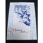 А. В. Плетнев