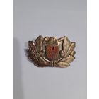 МЧС кокарда