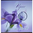 10 рублей 2013 Ирис