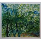 Акварель 49х55