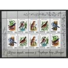 Певчие птицы. 1998. Беларусь. Малый лист. Чистый