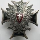 Белорусско-Литовский фронт, офицерский знак, без надписей.