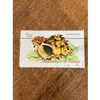Гвинея 1977. Ракушки. Hexaplex hopliters. Марка из серии