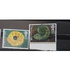 РАСПРОДАЖА. ВЕЛИКОБРИТАНИЯ 1995г. Полная серия. Гаш.