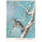 Открытка 1988 (381)