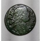 Боратинка 1665