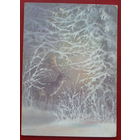 С новым годом! Подписанная. 1988 года. Исаков. 1086.