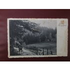 Открытка.Германия.