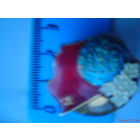 Значок с флагом СССР