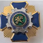 Знак СЭНС. 70 лет Гродненская региональная таможня Беларусь 1945-2015 г.г. Тяж. мет . накладной. краска.