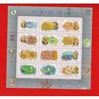 Россия.2000, 20 июня. Россия. ХХ век. Наука .Малый лист 3х4. Открытия и достижения советских ученых в XX веке. **.