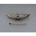 Знак летчика палубной авиации ВМФ СССР. ЛМД.