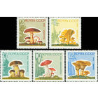 Грибы СССР 1964 год (3123-3127) серия из 5 марок (без лакового покрытия)