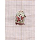 БГТО отличник.