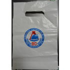 Добровольное спортивное общество "Локомотив" 1936-2016 80 лет БЧ.  Полиэтиленовый пакет. Корпоративное исполнение  Размер  32 см х 20 см