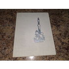 Віцязь у тыгровай шкуры