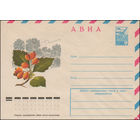 Художественный маркированный конверт СССР N 12657 (07.02.1978) АВИА  [Боярышник]