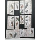 Украина 2003 Шесть сцепок по две марки каждая и 6 марок из малого листа "Совы Украины" (чистые**) Mi.574-585 каталог 9.00 евро