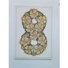 Ноор  8 марта 1988  10х15 см