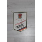 Вымпел, СССР, серебряный призер Чемпионата Европы по футболу, ФРГ 88.