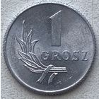 Польша 1 грош 1949 г. Состояние