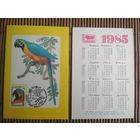 Карманный календарик.1985 год. Филателия. Попугай