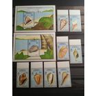 Доминика 1990 г. Ракушки.