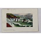 1908 год Либава открытка