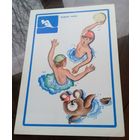 Водное поло Олимпийский медведь